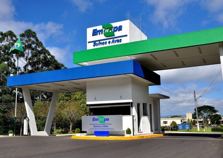 Lucro social da Embrapa em 2022 foi de R$ 125,88 bilhões