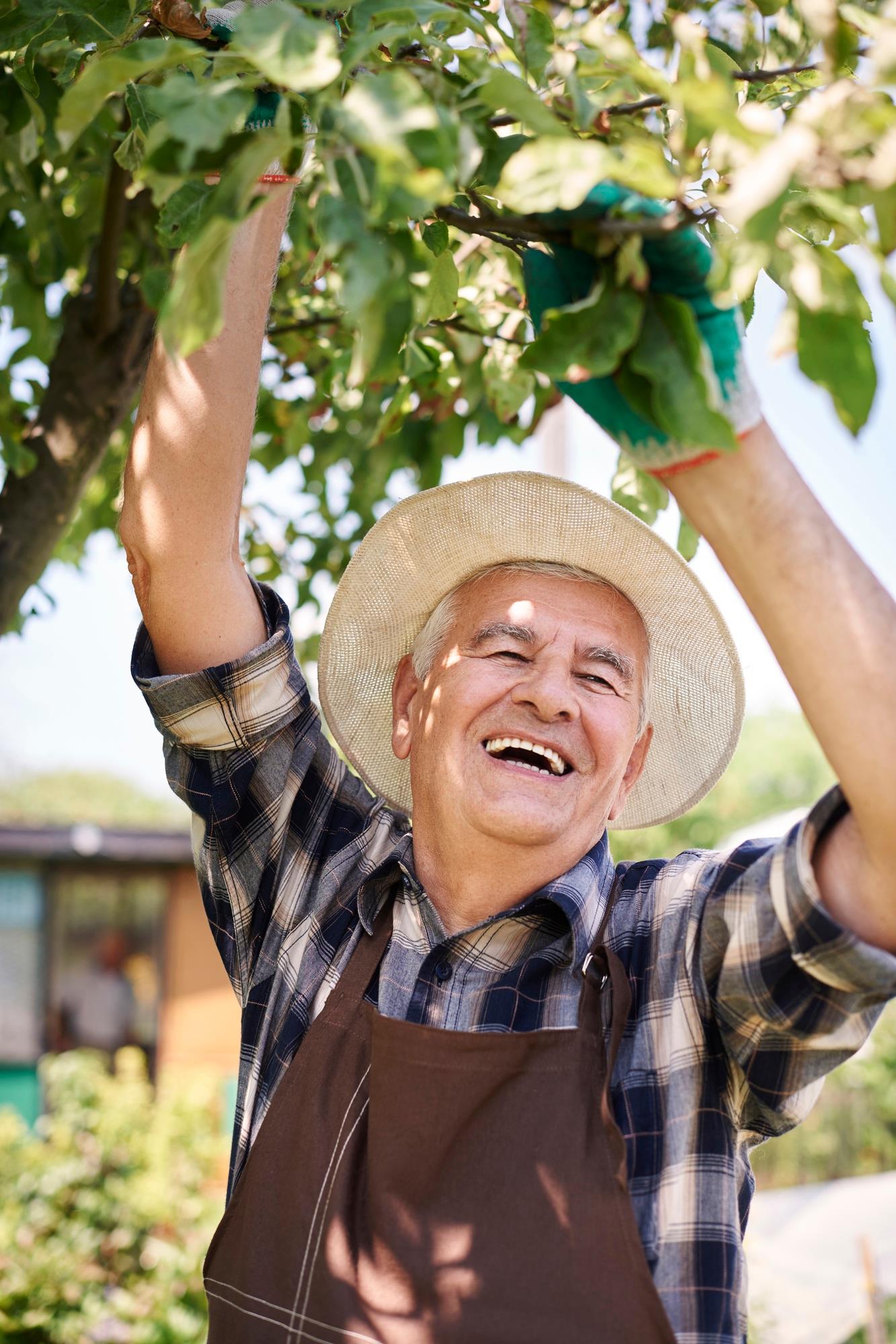 Dia do Agricultor: agricultura familiar fortalecendo a produção nacional Dia do Agricultor: agricultura familiar fortalecendo a produção nacional
