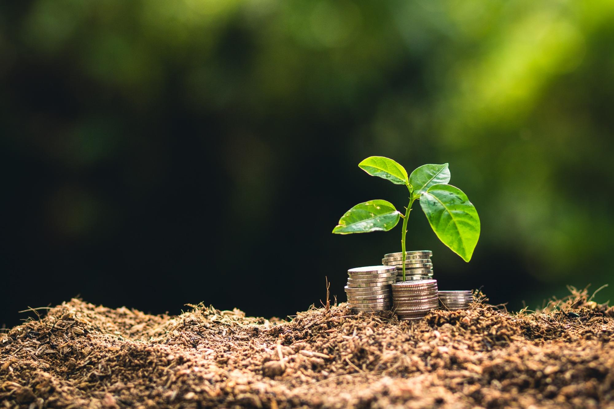 Em 2021, exportações agrícolas dos EUA devem alcançar o recorde de US$ 164 bi