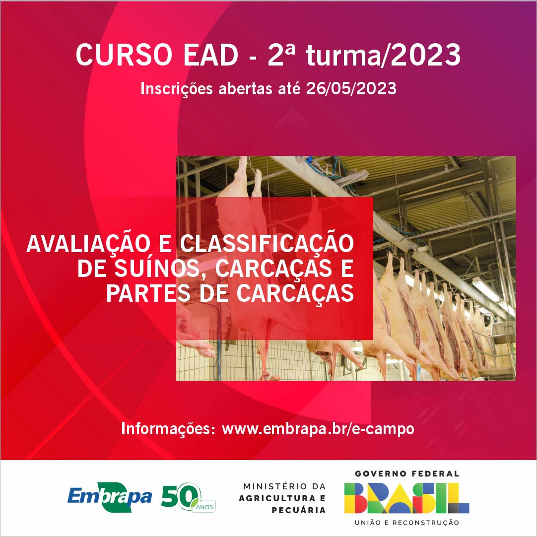 Embrapa: abertas inscrições para curso a distância sobre avaliação de carcaças de suínos Embrapa: abertas inscrições para curso a distância sobre avaliação de carcaças de suínos