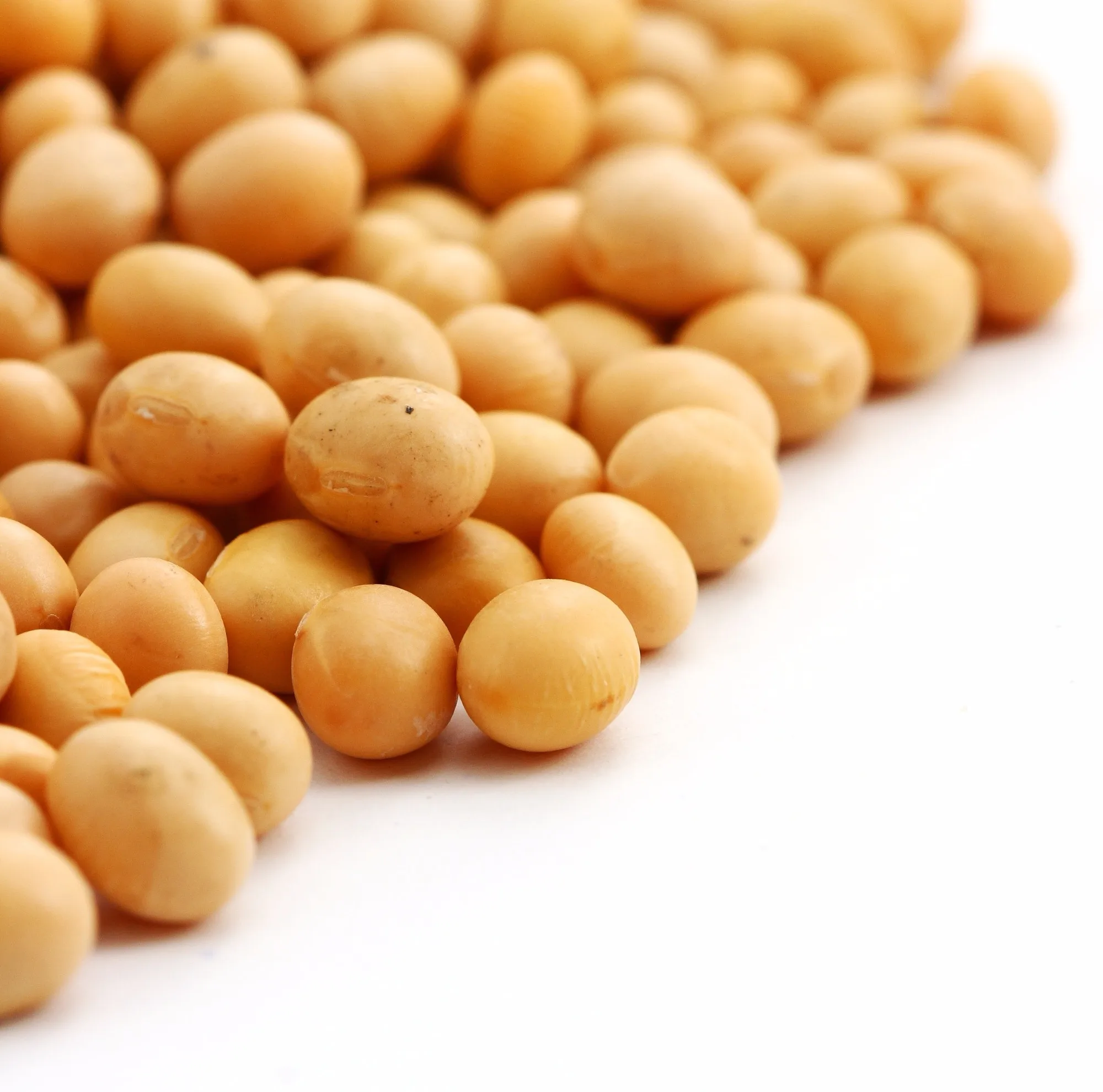 Produção de soja deve somar 145,0 milhões de toneladas em 2023