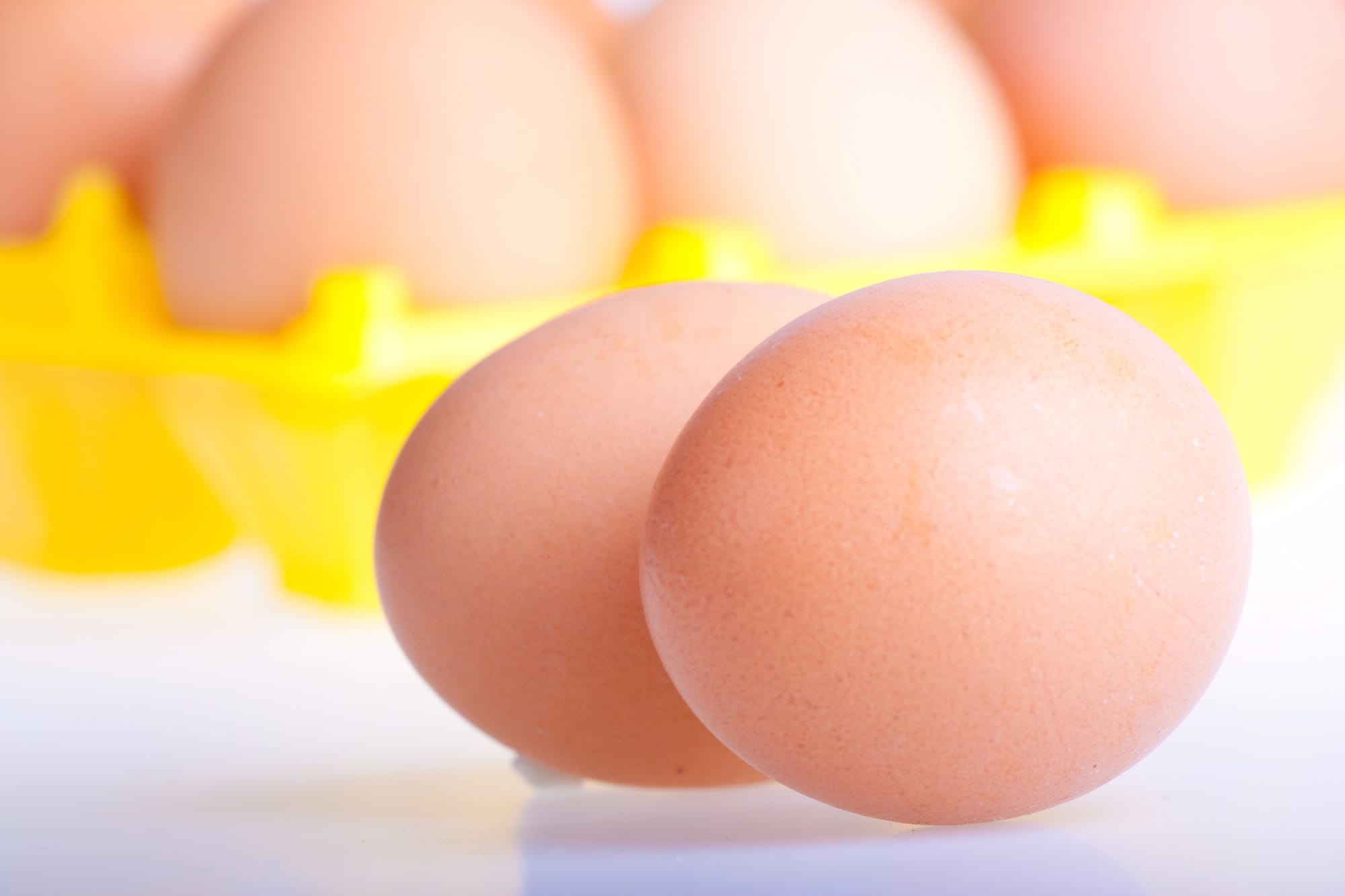 4ª Conbrasul reúne academia e indústria da produção de ovos