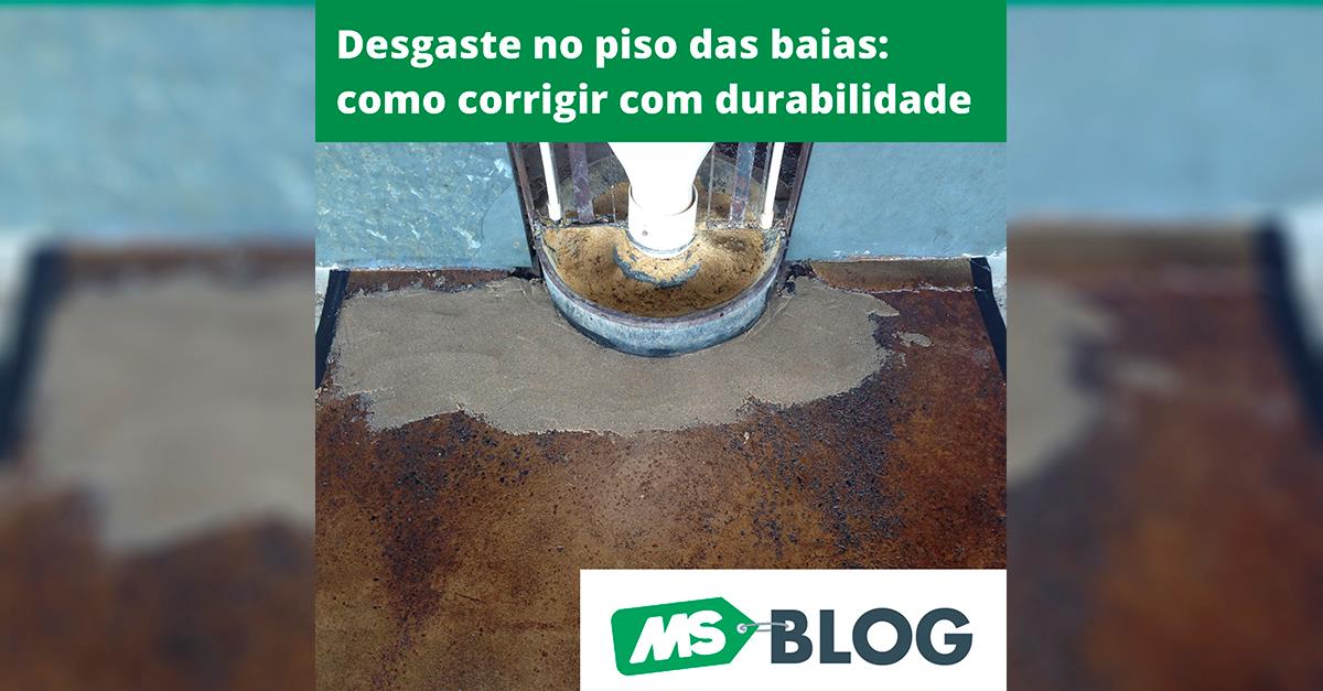 Desgaste no piso das baias de suínos: como corrigir com durabilidade Desgaste no piso das baias de suínos: como corrigir com durabilidade