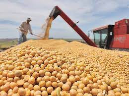 Exportadores dos Estados Unidos divulgam vendas de 272 mil toneladas de soja