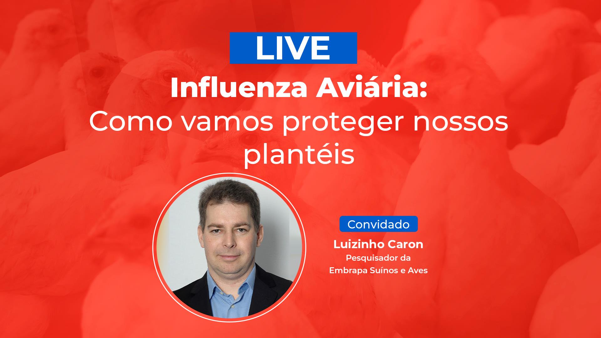 Influenza Aviária é tema de live na TV Gessulli