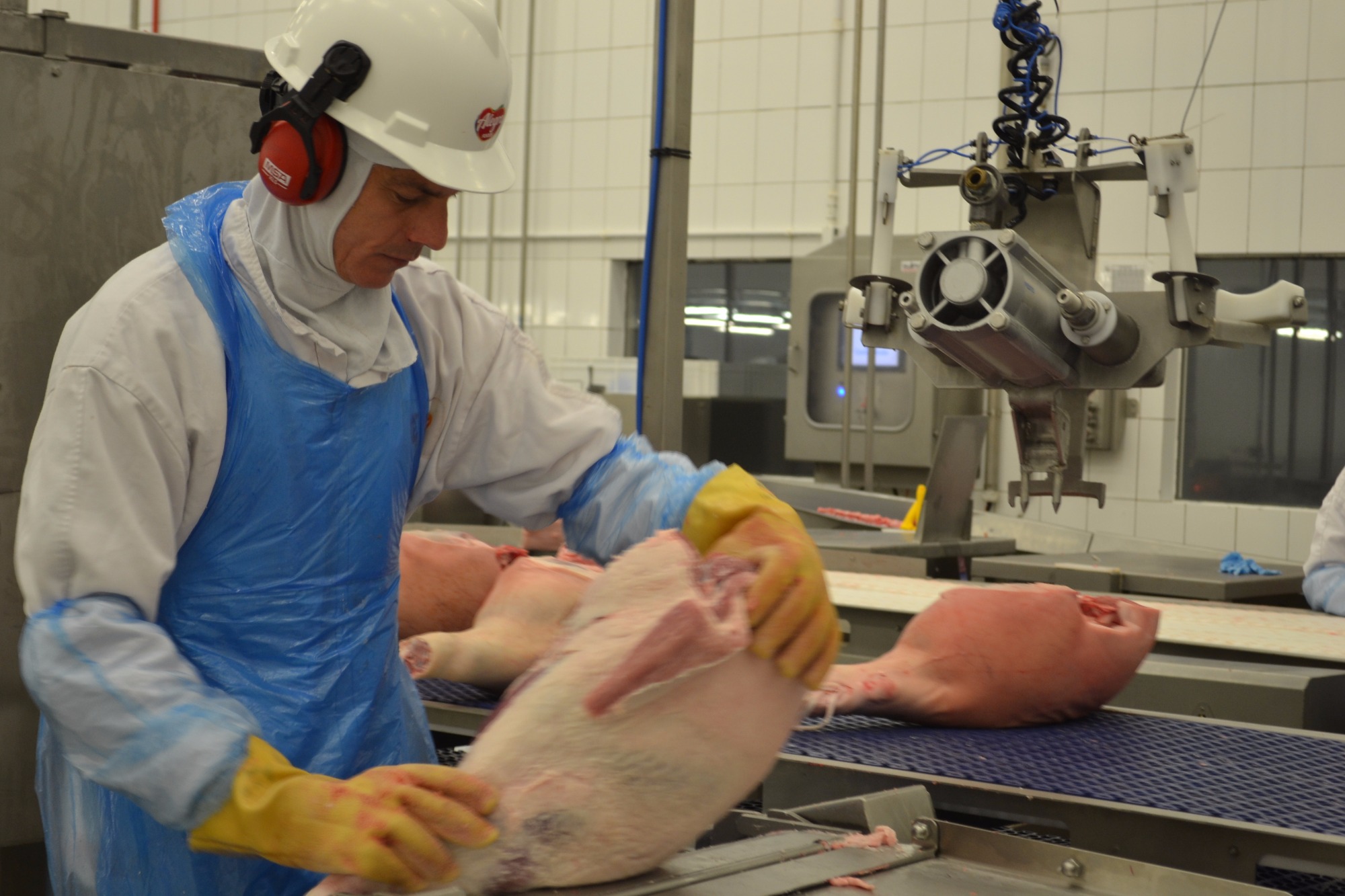 Oferta de carne suína continuará restrita por anos, avalia Jefferies Oferta de carne suína continuará restrita por anos, avalia Jefferies