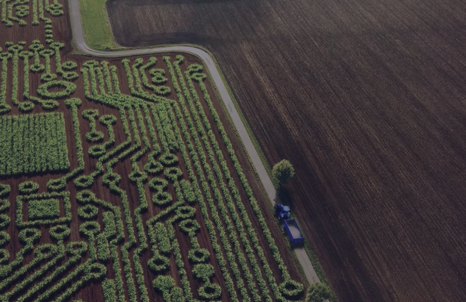 Critérios para priorização de tecnologias de baixo carbono para reduzir emissões de GEE