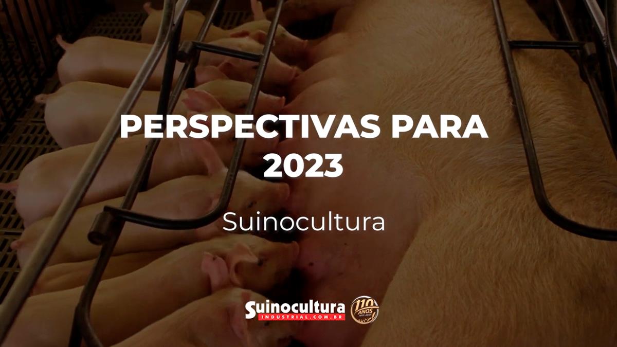 Confira as expectativas do setor para o ano de 2023