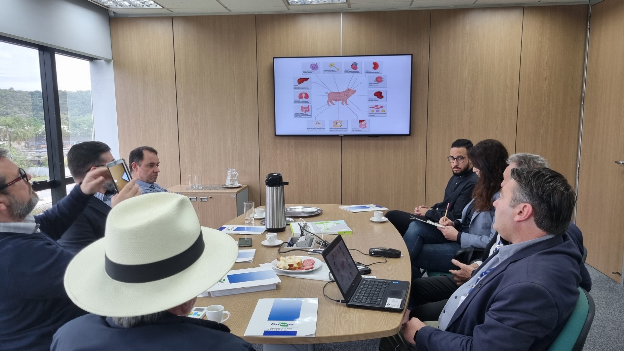 Embrapa apresenta projeto sobre pesquisa com animais geneticamente editados Embrapa apresenta projeto sobre pesquisa com animais geneticamente editados