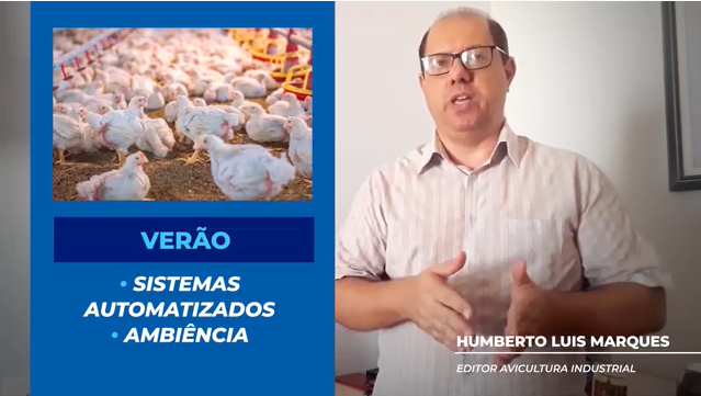 Avicultura Industrial destaca as tecnologias para enfrentar as altas temperaturas do verão
