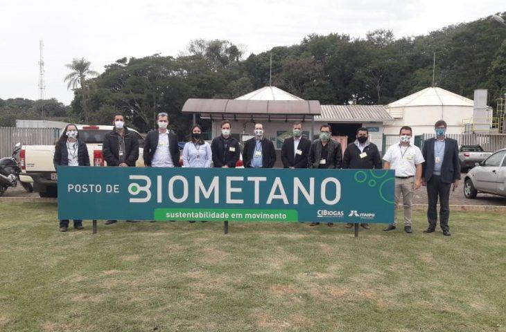 UEMS/Mundo Novo tem projeto de R$ 674 mil aprovado no edital MS Carbono Neutro