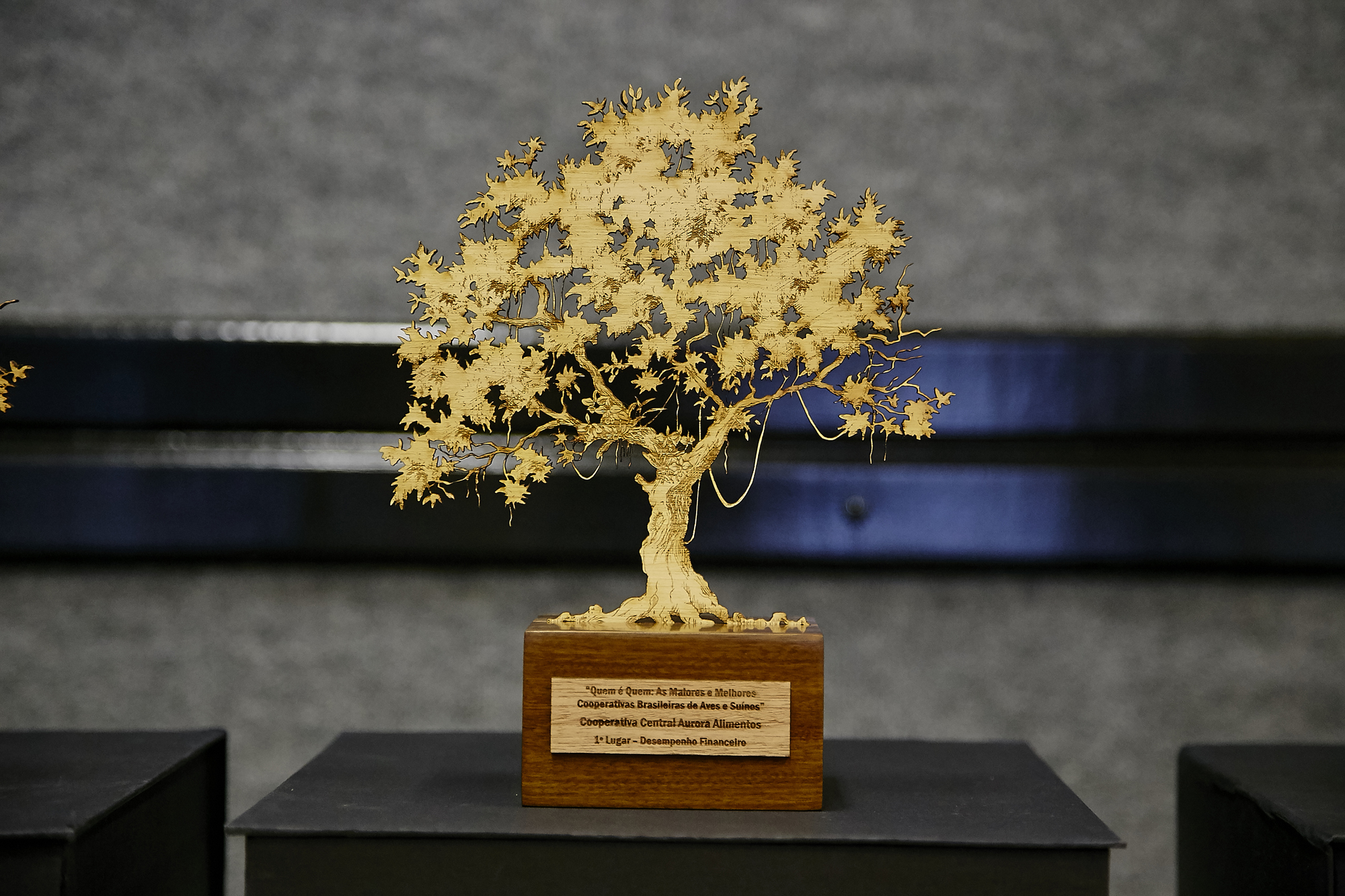 Votação do prêmio Quem é Quem encerra neste domingo