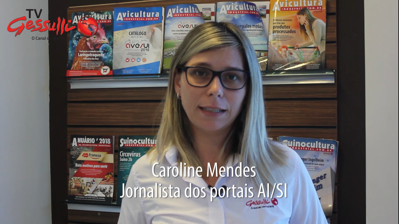 DESTAQUES: Milho mais caro prejudica produtores e JBS decide importar o insumo