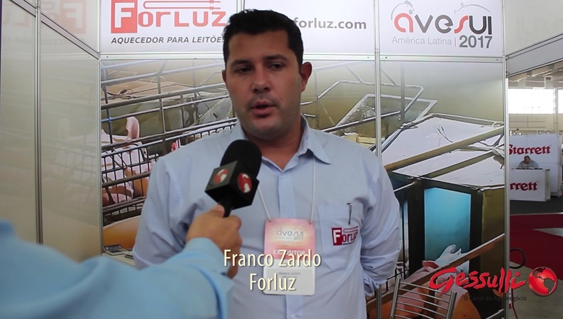 Aquecimento para leitões garante eficiência