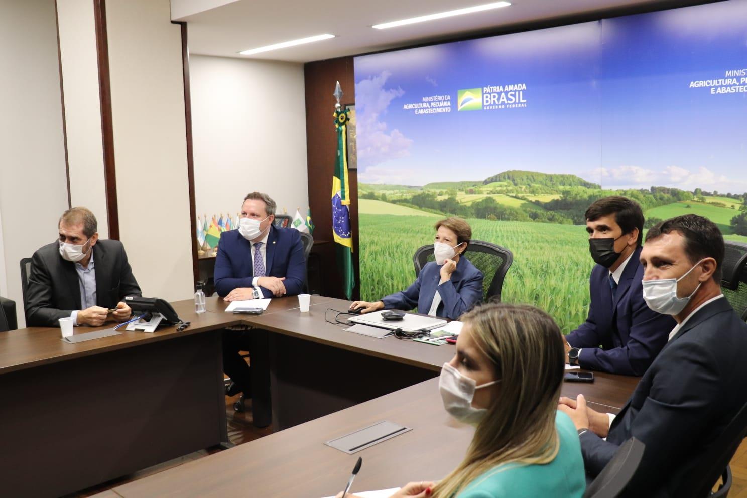 Presidente da Acrismat se reúne com ministra da Agricultura e discute crise