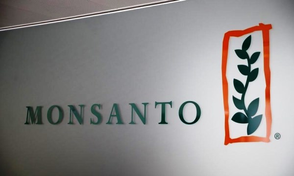 A Monsanto logo is pictured in the company headquarters in Morges, Switzerland, May 25, 2016. REUTERS/Denis Balibouse