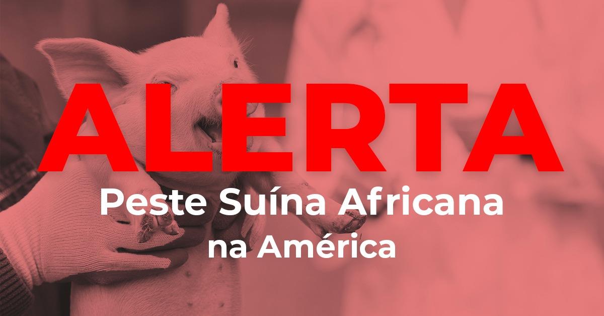 Alerta urgente sobre Peste Suína Africana na América
