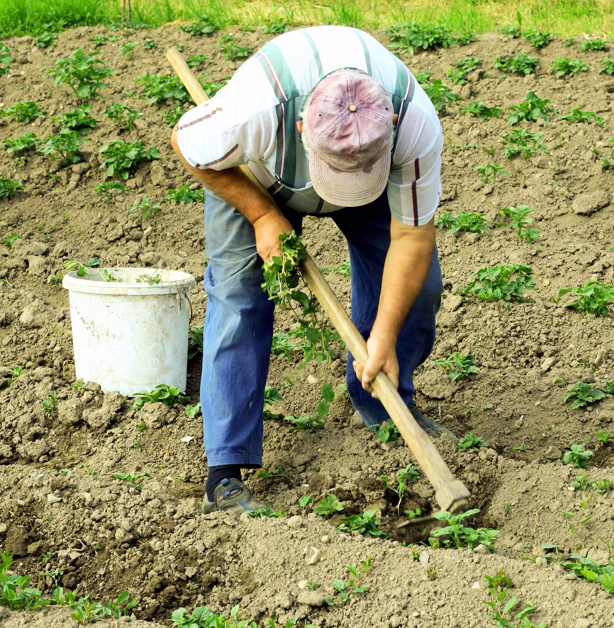 Aposentadoria rural no alvo da reforma previdenciária