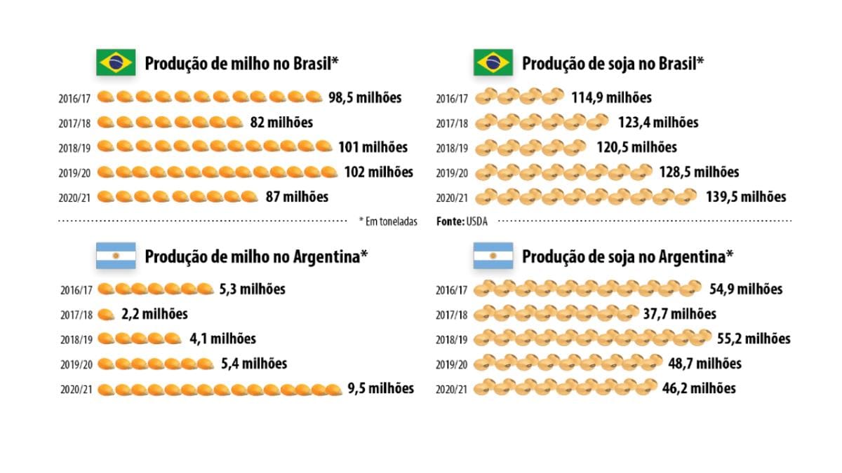Produção de grãos impulsionam proteína animal na região Sul