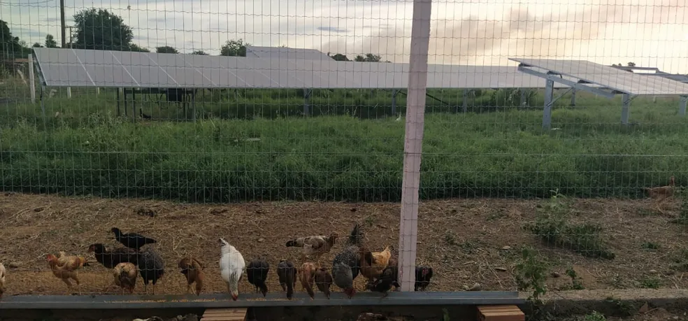 Energia solar ajuda pequeno produtor em Minas Gerais Energia solar ajuda pequeno produtor em Minas Gerais