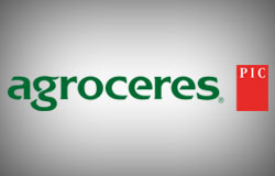 Agroceres PIC finaliza últimos detalhes para realização do 12º Seminário Internacional de Suinocultura