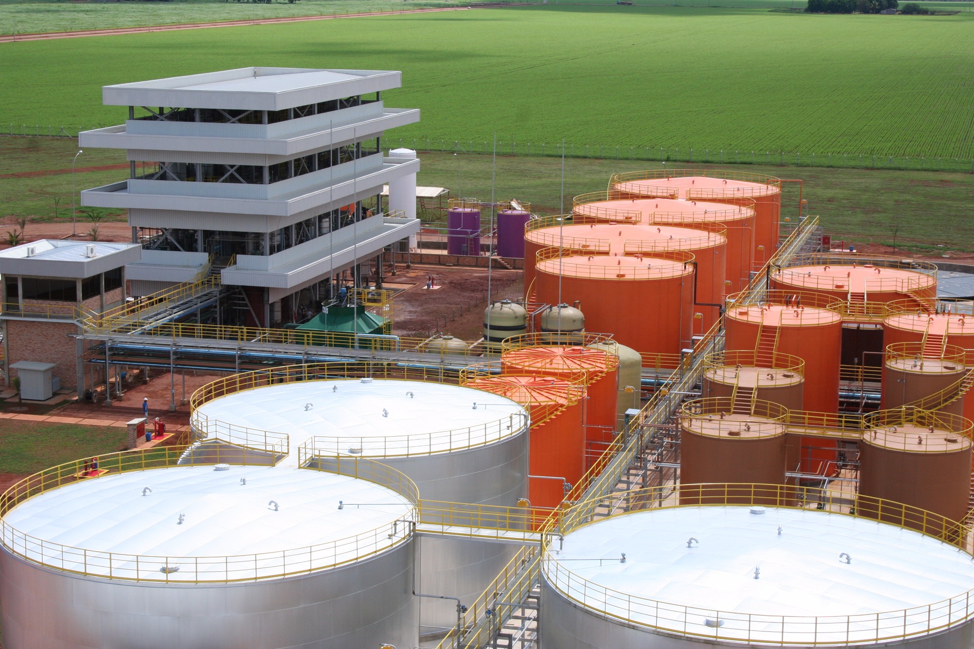 Estagnado, programa de biodiesel compromete campo e indústria