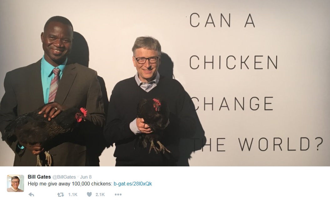 Bill Gates quer usar galinhas para reduzir fome na África