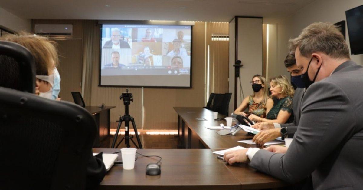 Em audiência com Ministra da Agricultura, ABCS reforça a importância de medidas preventivas contra PSA