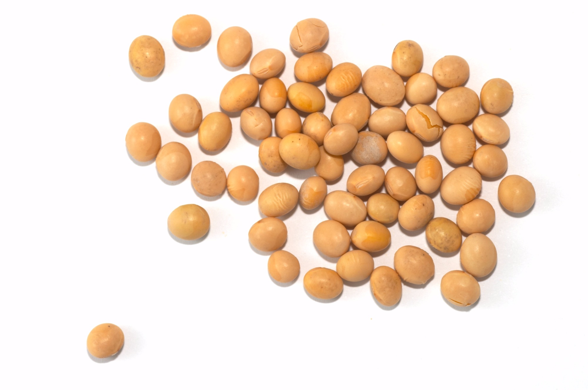 Ministério promove seminário para debater revisão do Padrão Oficial de Classificação da Soja