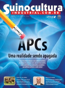 Edição 306 Edição 306