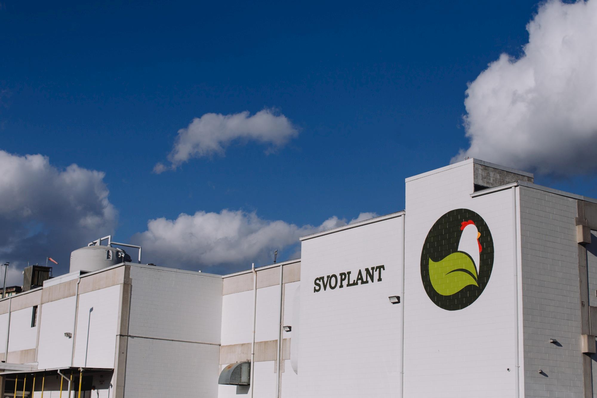 O novo sistema da Meyn garante eficiência, consistência e economia de mão de obra