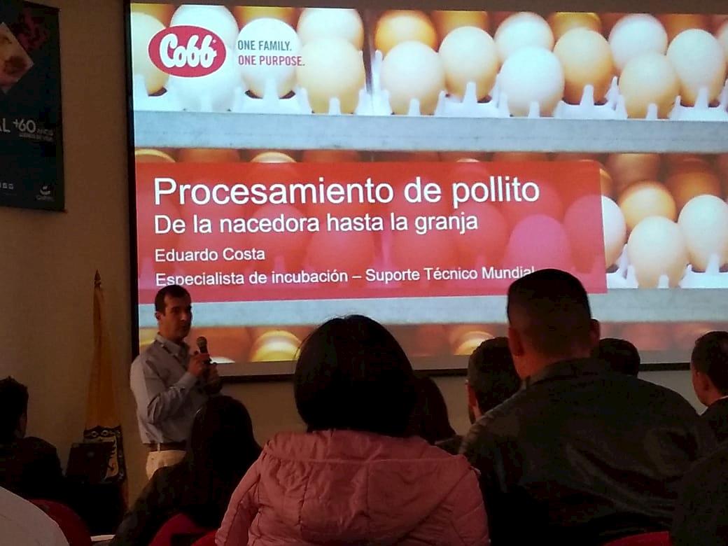 Seminário de Incubação recebe especialistas da Cobb-Vantress na Colômbia