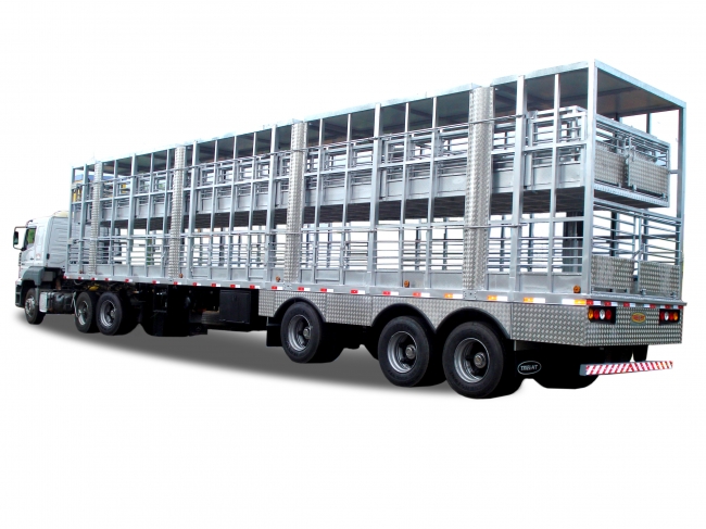 Nova altura para caminhões que transportam animais vivos é aprovada