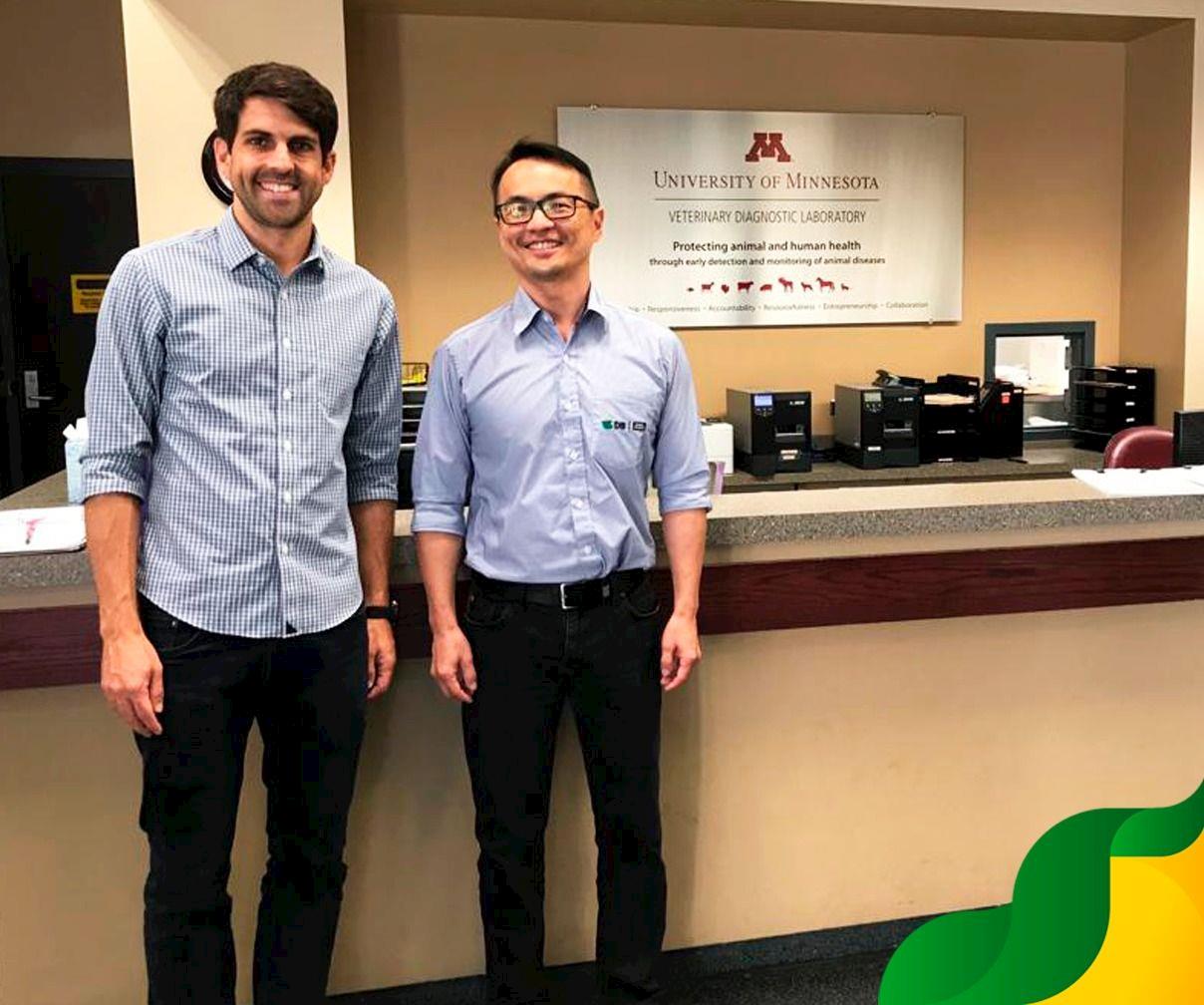 Empresa de genética suína intensifica controle sanitário