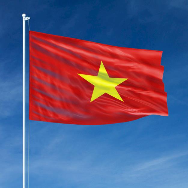 Vietnã reporta novo surto de Influenza Aviária Vietnã reporta novo surto de Influenza Aviária