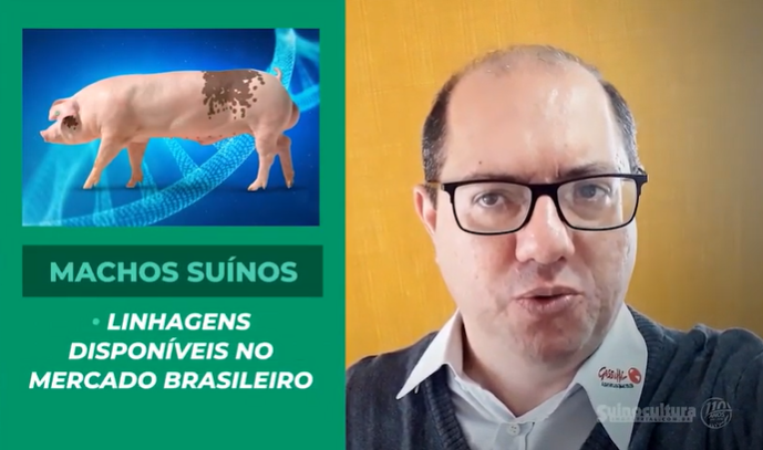 Confira o que será destaque na próxima edição da Suinocultura Industrial