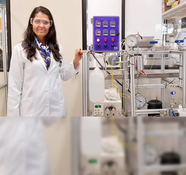 Equidade de gênero no setor de energia requer compromisso da alta gestão Equidade de gênero no setor de energia requer compromisso da alta gestão