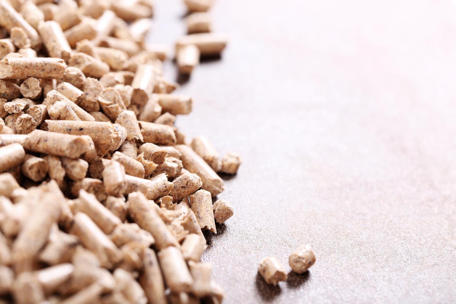 Biomassa para energia: pesquisa com glicerina melhora uso de pellets na agroindústria Biomassa para energia: pesquisa com glicerina melhora uso de pellets na agroindústria