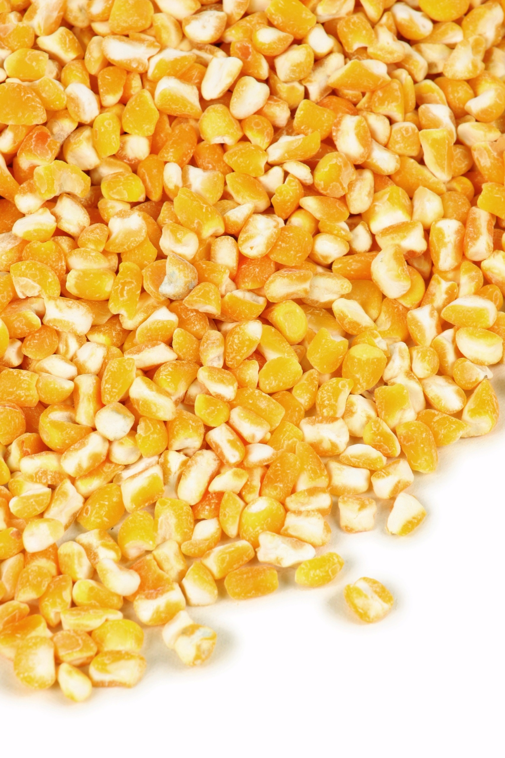 Conab faz venda direta de 170 mil t de milho nesta quinta-feira