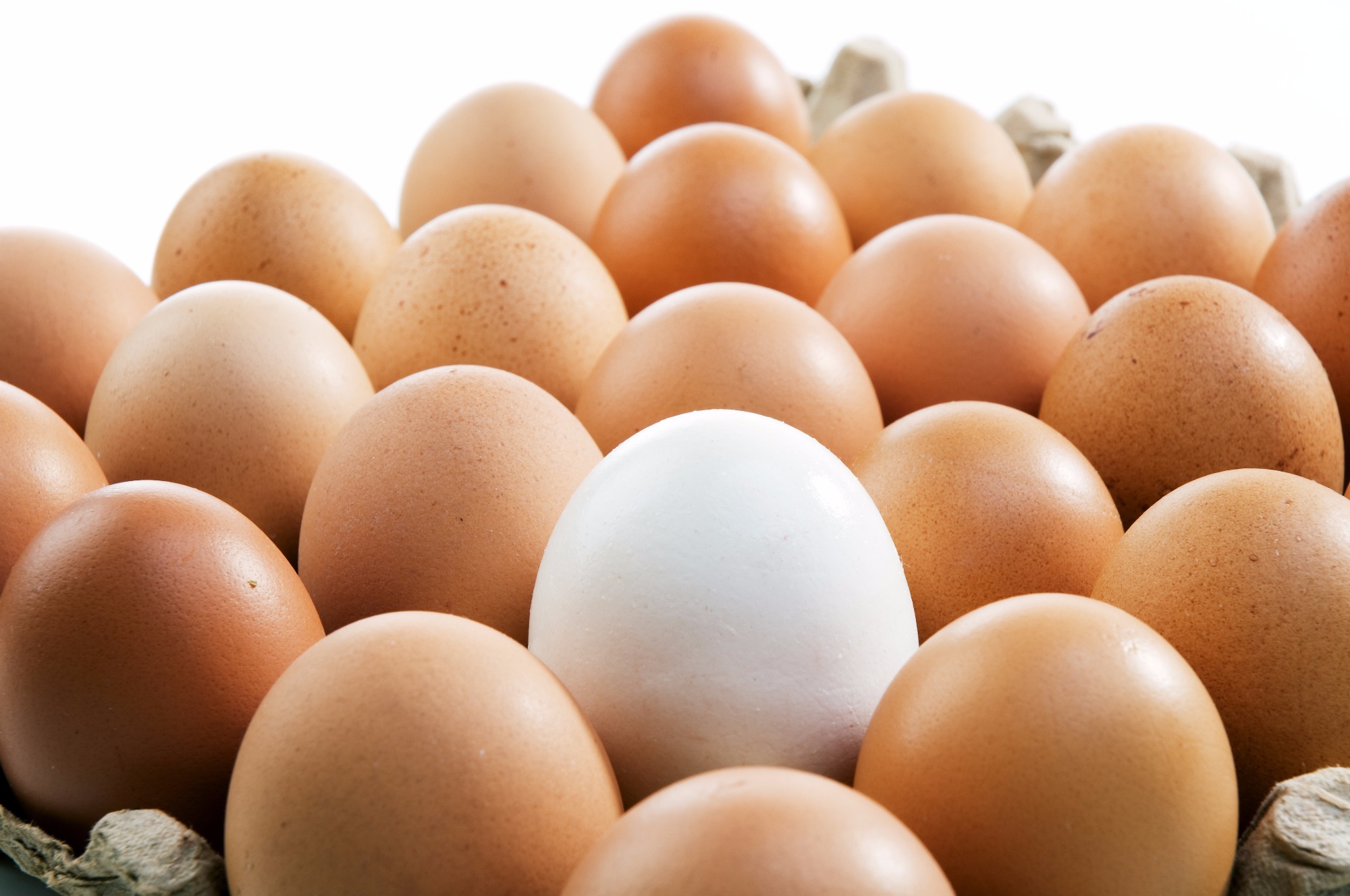 Varejistas do Texas são acusados de inflacionar preços dos ovos durante pandemia