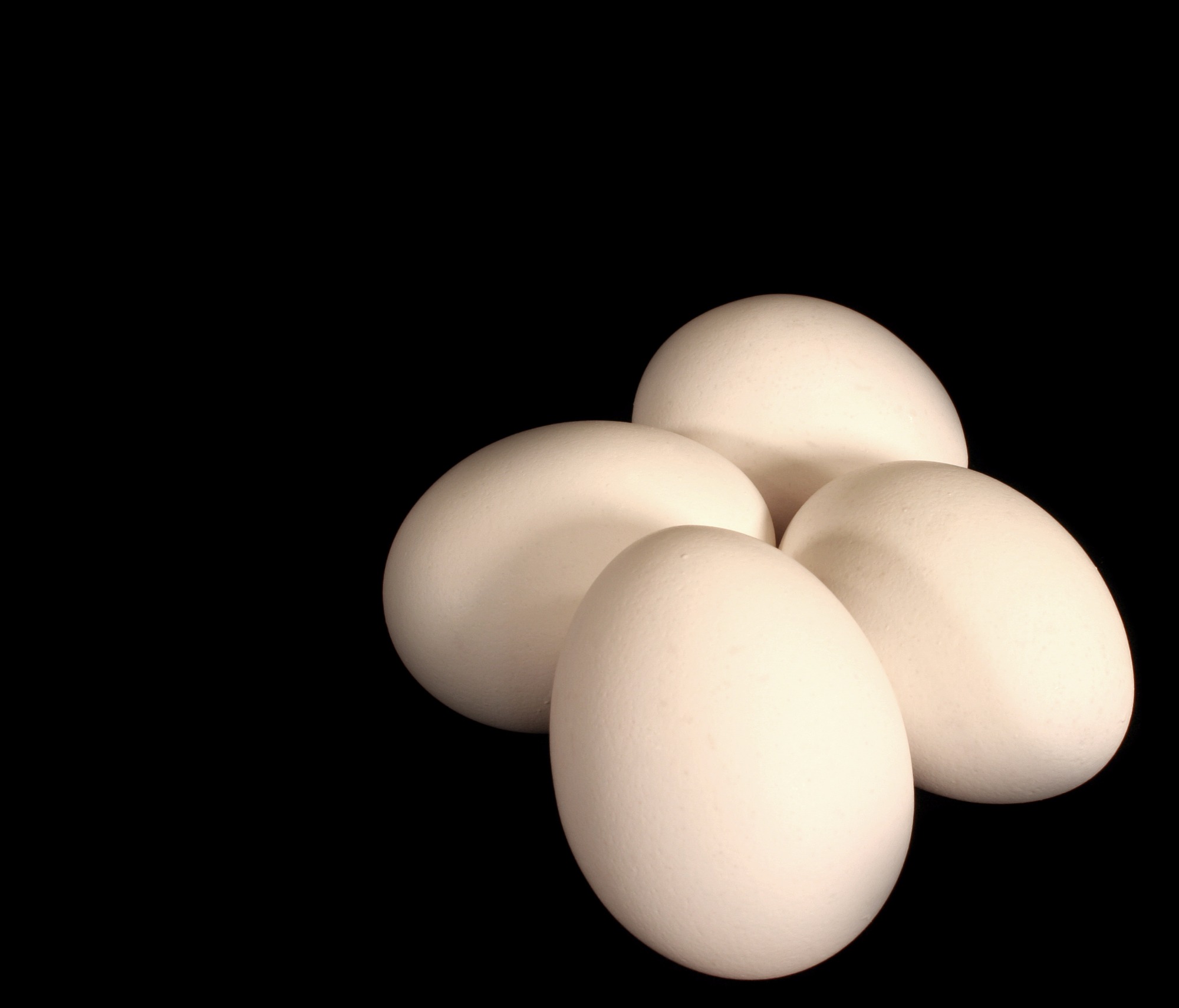 Pesquisa vai ajudar IOB a identificar quais são as dúvidas que ainda persistem sobre o ovo