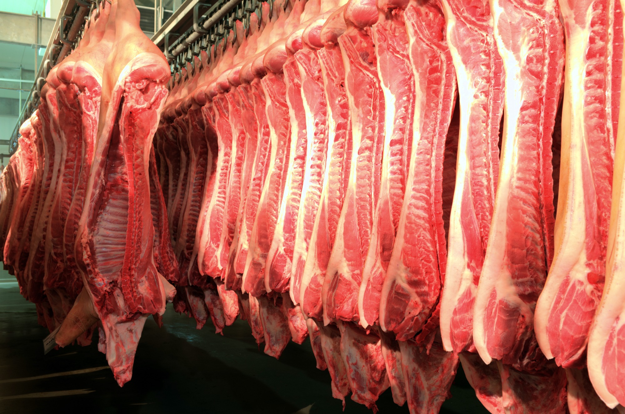 Carne suína da China: da escassez à fartura em dois anos