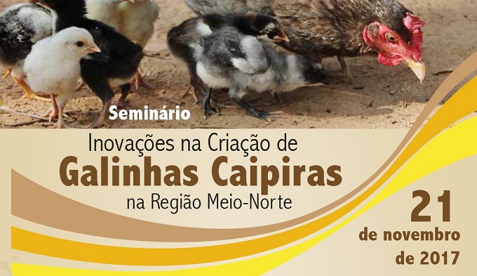 Produção de galinhas caipiras é tema de seminário Produção de galinhas caipiras é tema de seminário