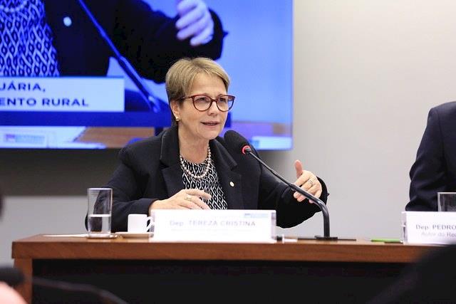 Mundo não conseguirá atender demanda da China, diz ministra