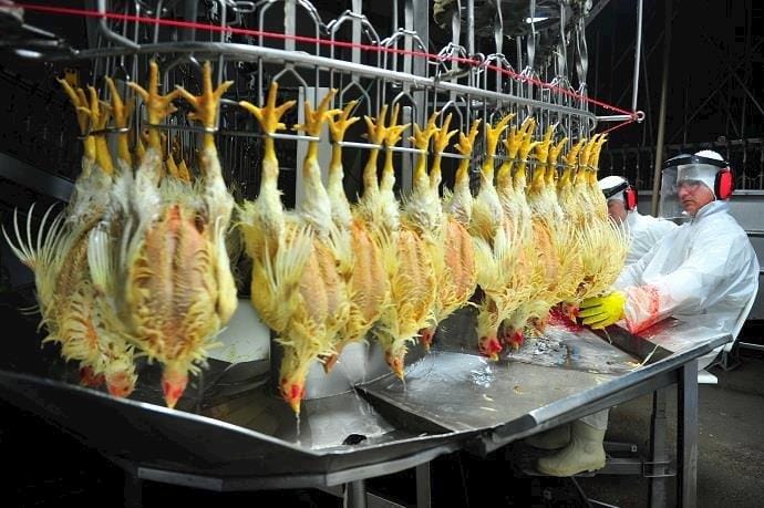 Brasil amplia ação na maior feira de alimentos para o mercado halal do Oriente Médio