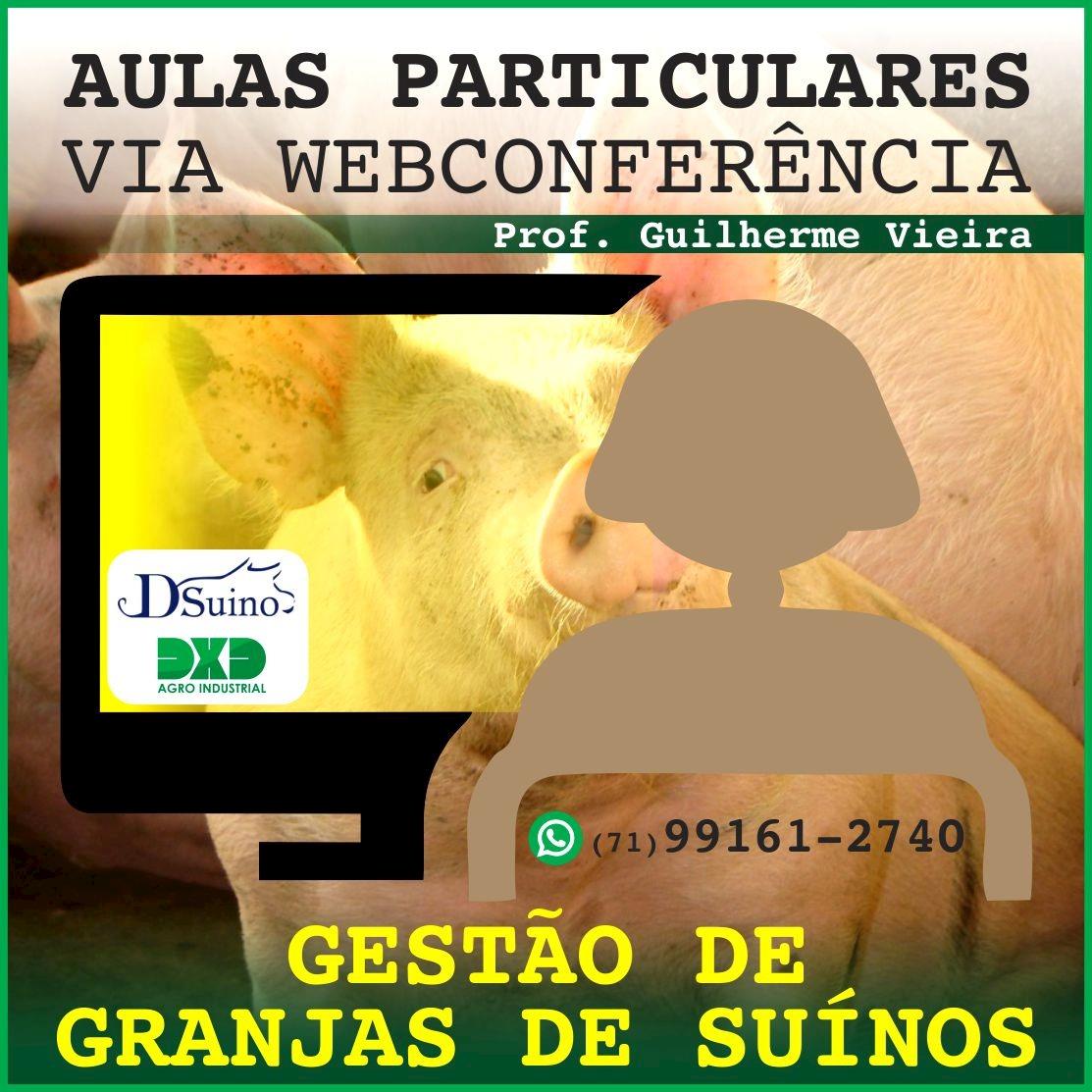 VeteAgrogestão e Farmácia na Fazenda promovem pacotes de aulas on line de Gestão de Granjas de Suínos VeteAgrogestão e Farmácia na Fazenda promovem pacotes de aulas on line de Gestão de Granjas de Suínos