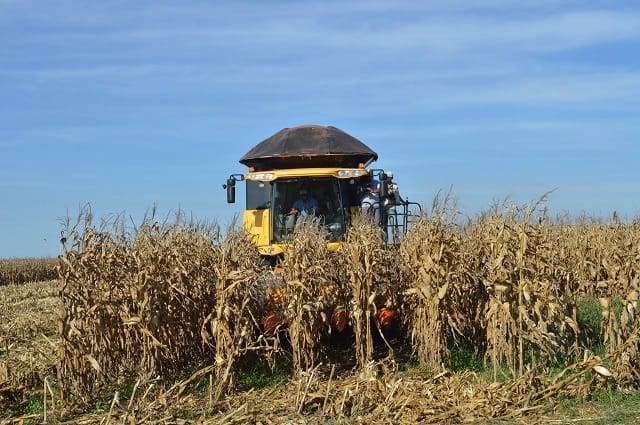 Fenômeno climático La Niña ameaça atingir a produção agrícola da  Argentina pelo segundo ano consecutivo