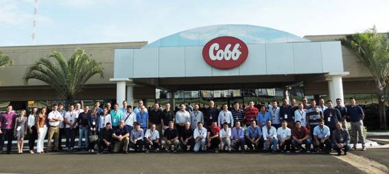 Grandes produtores avícolas se reúnem para otimização do processo de abate em São Paulo