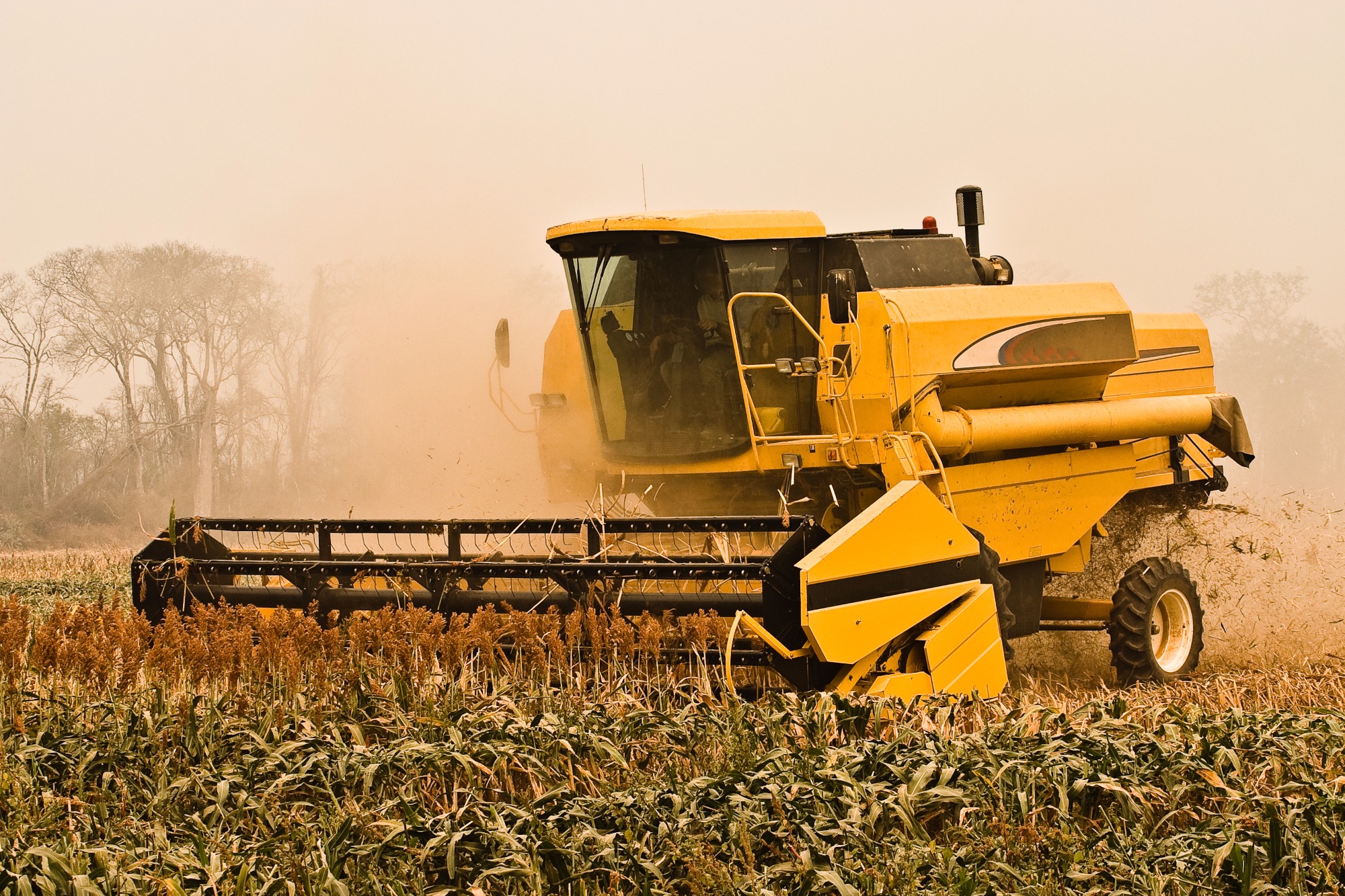 Syngenta conclui a aquisição da Nidera Seeds Syngenta conclui a aquisição da Nidera Seeds