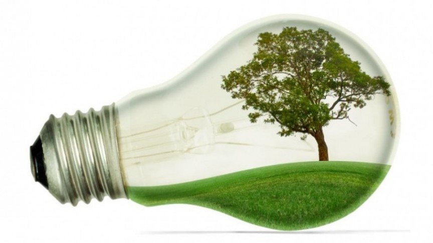 Produtora de eletricidade com biomassa mira expansão no Brasil Produtora de eletricidade com biomassa mira expansão no Brasil